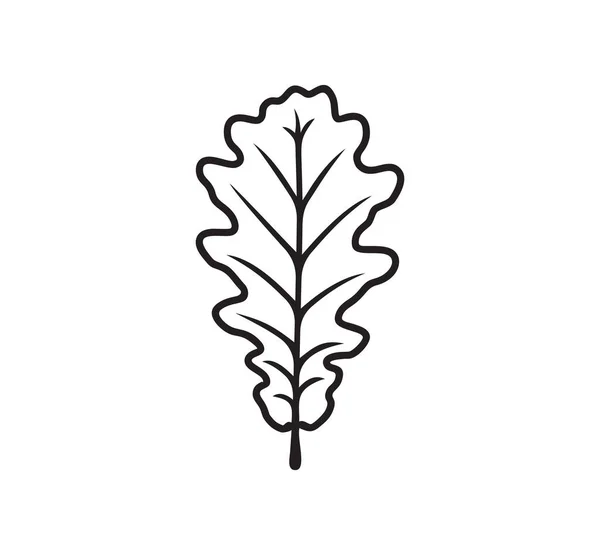 Vector Illustration Oak Leaf Stock Vector by ©ARTYchokeDesigns 410986790