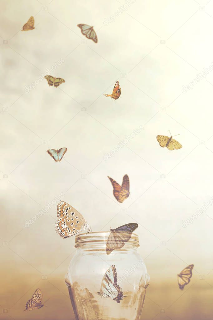 freedom concept for a group of prisoners butterflies in a vase
