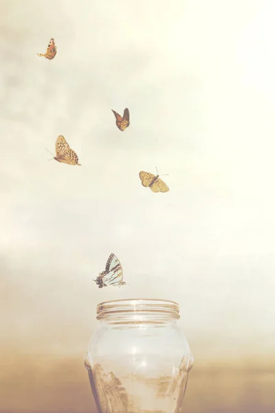 自由和梦幻的概念为一群囚犯蝴蝶在花瓶 — 图库照片