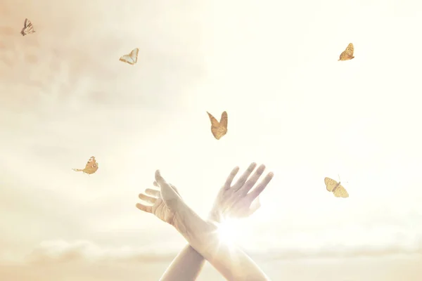 Vrouw Handen Dans Harmonie Met Sommige Vlinders Midden Natuur — Stockfoto