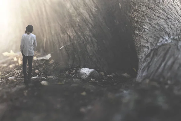 Kvinnan Promenader Mitt Skog Med Jätteträd — Stockfoto