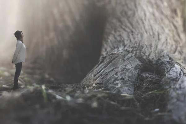 Surrealistické Okamžik Velmi Drobná Pozorování Gigantický Strom — Stock fotografie