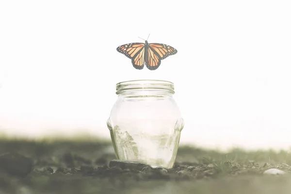 高速ガラスの瓶の中に閉じ込められた彼女から蝶が飛び立つ — ストック写真