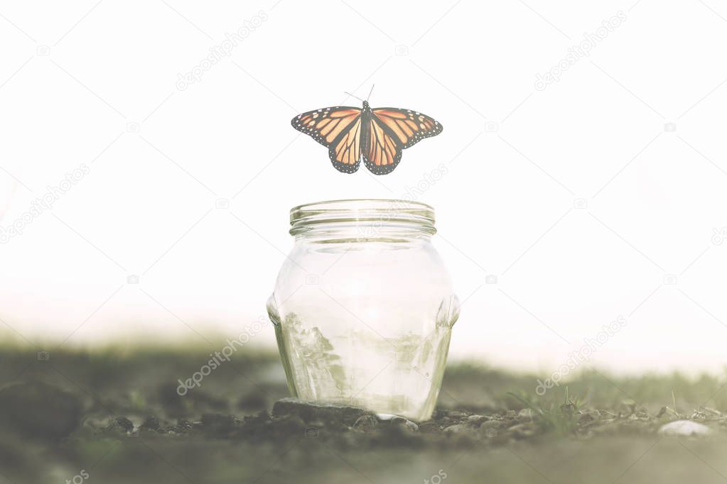 butterfly flies away fast from the glass jar in which she was trapped