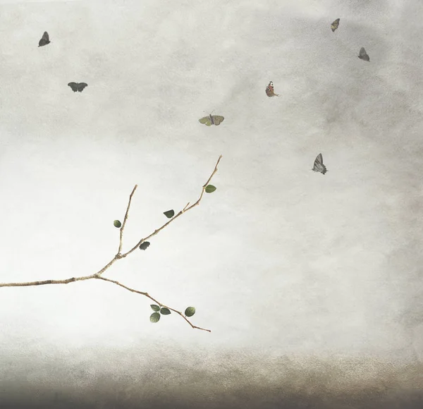 Volné Motýly Obloze Tančí Kolem Větve Novorozence — Stock fotografie