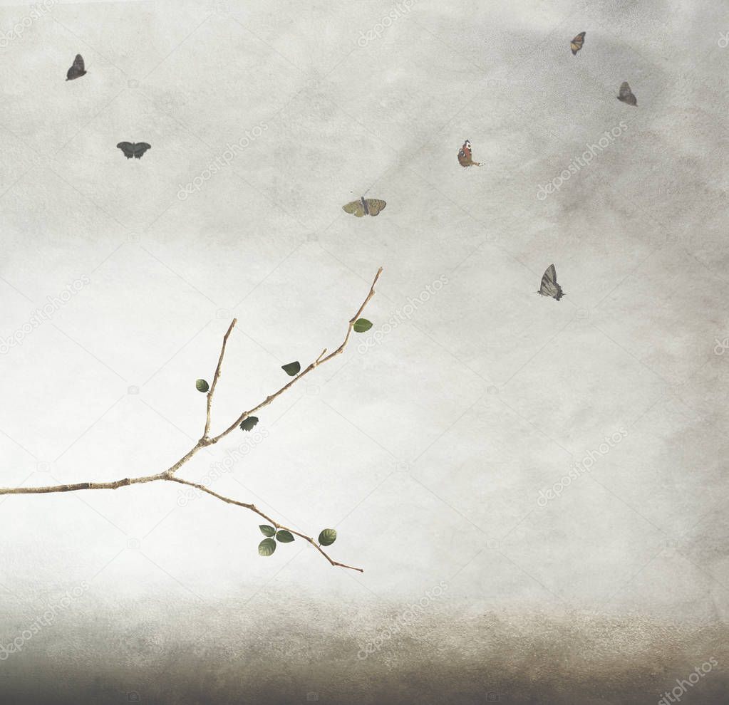 free butterflies in the sky dance around a branch with newborn leaves