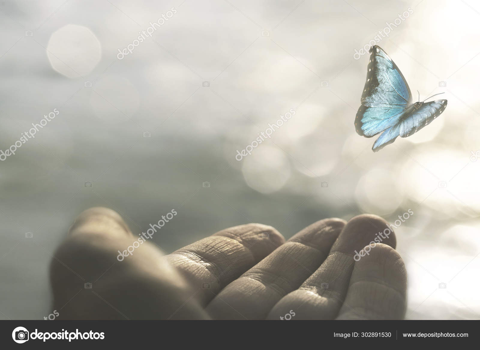 Download Delicate Butterfly Flies Away Woman Hand Stock Photo Image By C Cristina Conti 302891530