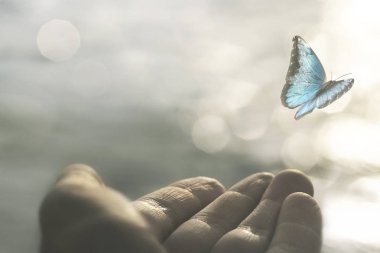 Narin bir kelebek bir kadının elinden uçar