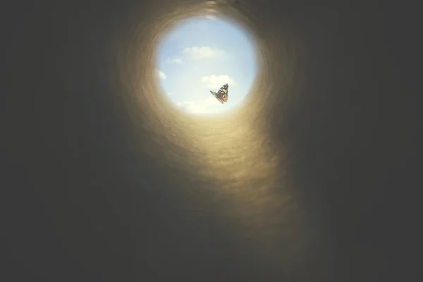 Barevný Motýl Najde Cestu Tmavého Tunelu Koncept Svobody — Stock fotografie