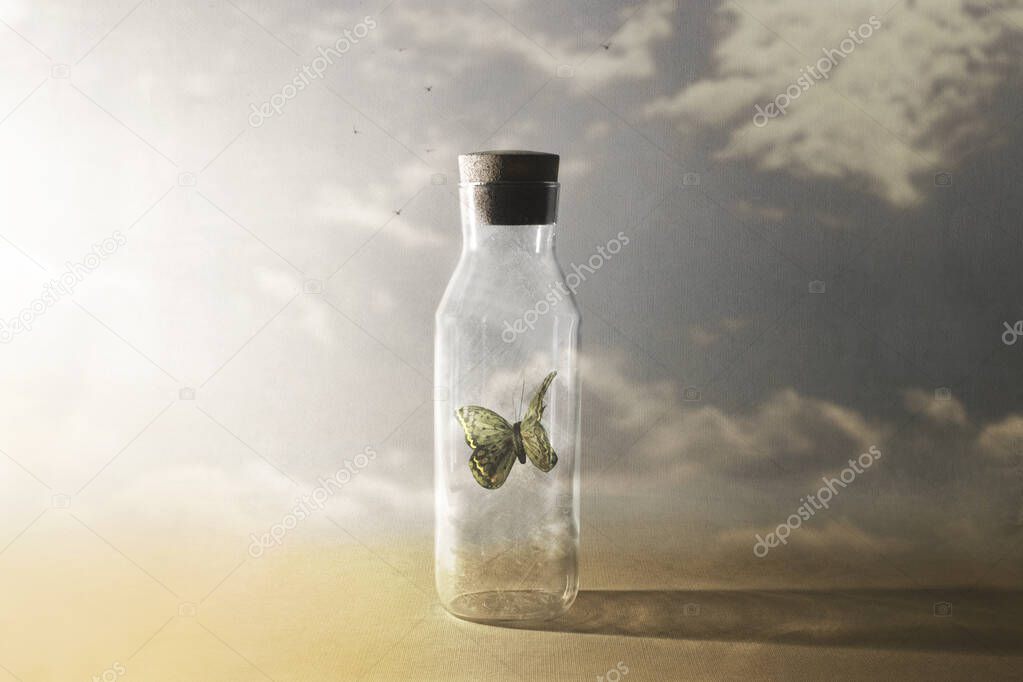 colored butterfly captive in a glass bottle tries to find an escape