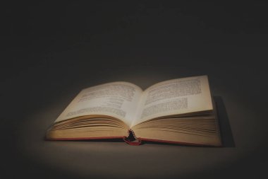 Bilgelik ve bilgi kavramı, aydınlatan açık kitap