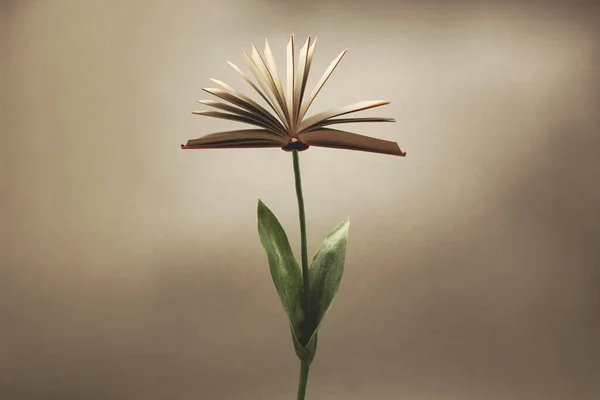 Surrealistická Rostlina Otevřenou Knihou Která Nahrazuje Květinu Fantasy Koncept — Stock fotografie