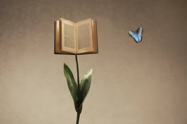 Bir çiçek sapı tarafından desteklenen sürreal üstü açık kitap renkli bir kelebekle karşılaşıyor