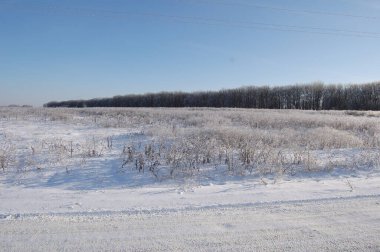 Kış manzarası. Saha. Yol. Karda.