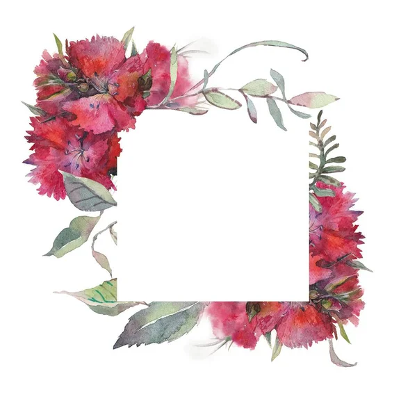 Waterkleur bloem frame met rode boeketten van Turkse anjer bloemen — Stockfoto