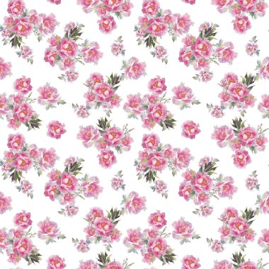 Şakayık ve şifalı bitkilerin suluboya desenleri.