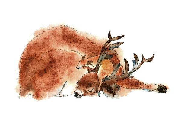 Watercolor clip-art dad deer sleeping with baby deer — Stock Photo, Image