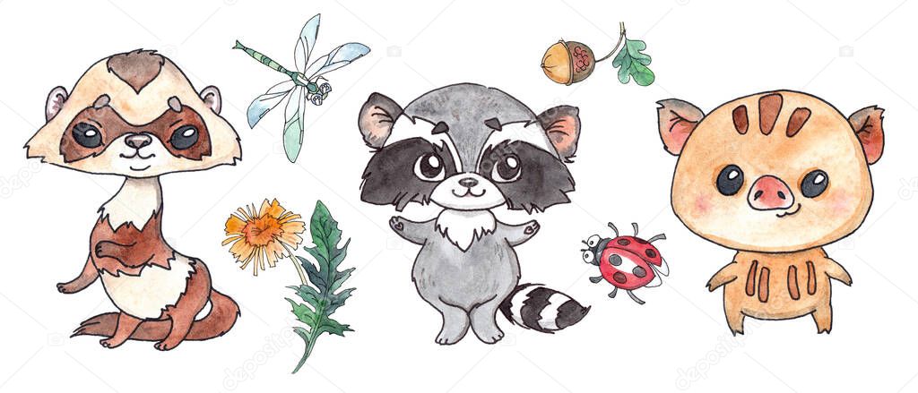 Watercolor ferret, raccoon, wild boar, dragonfly, ladybug, dandelion, acorn