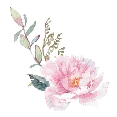 Bir buket pion ve otla suluboya seti.