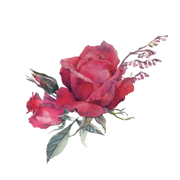 Aquarel clip art met boeketten van roos en kruiden. — Stockfoto