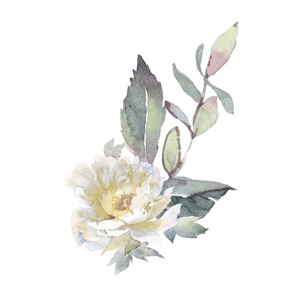 Watercolor clip τέχνη με ανθοδέσμες από παιώνιες και βότανα. — Φωτογραφία Αρχείου