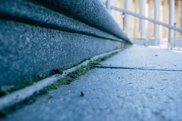 Moss on the steps of the Kazan Cathedral