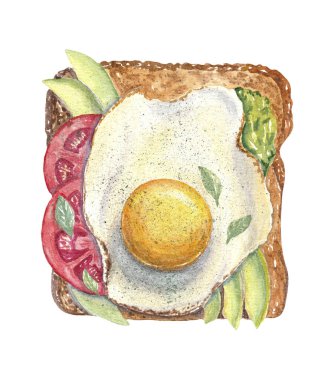 Sağlıklı kahvaltı. Kızarmış yumurtalı tost, domates ve avokado dilimleri. Evde kal ve yemek yap. Suluboya gıda çizimi.