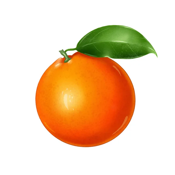 Dojrzała Pomarańcza Liściem Bez Cienia Białym Tle Ręcznie Rysowana Sztuka — Zdjęcie stockowe