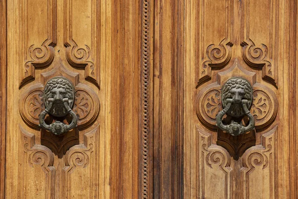 Doorhandle Iki Aslan Kafalı Eski Kapı Cartagena Murcia Spanya — Stok fotoğraf