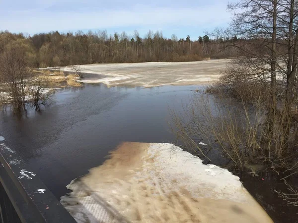 Ice melts on the river in spring