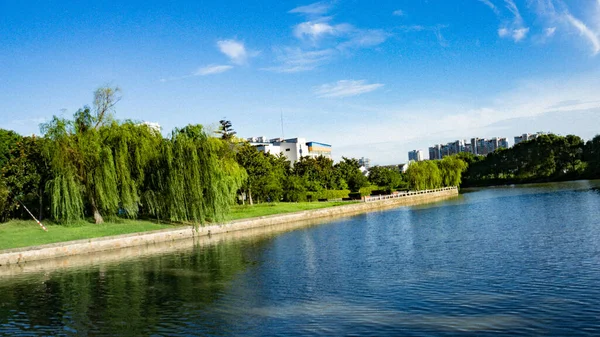 Blue Sky Clear River Surrounded Dense Trees Finally Meandered Away — Stock Photo, Image