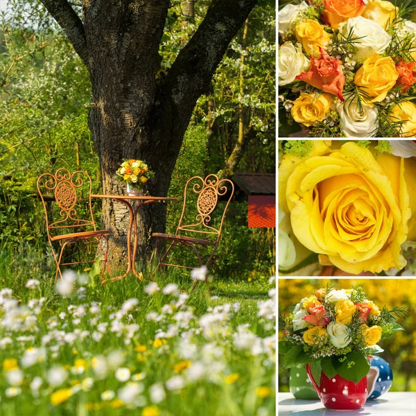 Flores Otoño Collage Sobre Fondo — Foto de Stock