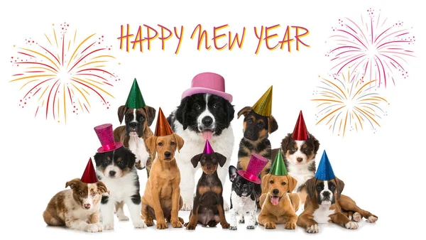 Happy New Year Puppies Background Close Royalty Free Stock Photos