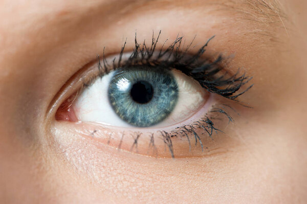 Closeup of a blue eye