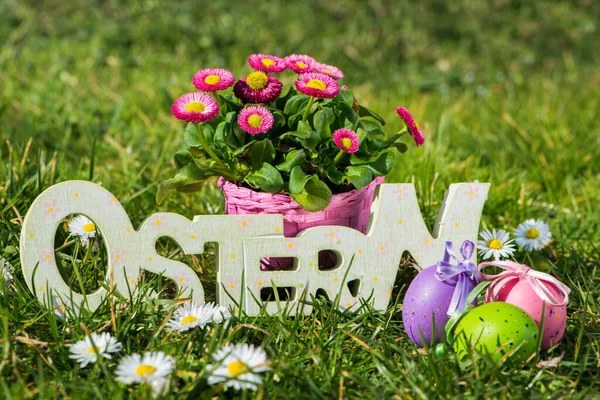 easter decoration in a spring meadow