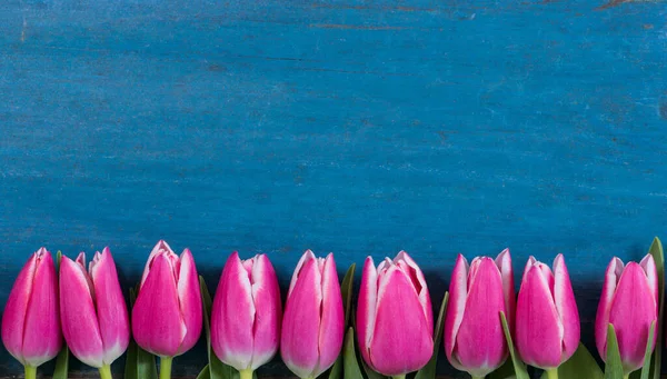 Rosa Tulpen Auf Blauem Holzhintergrund — Stockfoto