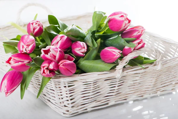 Розовые Тюльпаны Белом — стоковое фото