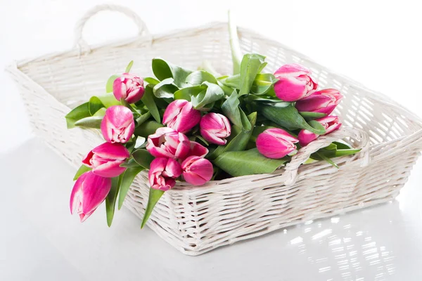 Розовые Тюльпаны Белом — стоковое фото