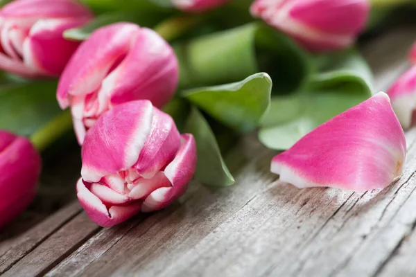 Розовые Тюльпаны Деревянном Фоне — стоковое фото