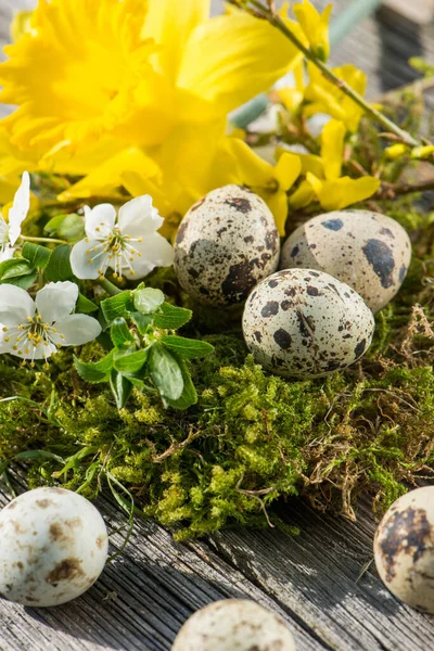 Vaktelägg Med Blommor Trä — Stockfoto