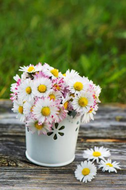 Küçük bir sepetteki papatya çiçekleri