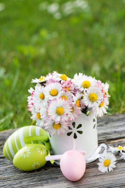 Paskalya yumurtalı Daisy çiçekleri