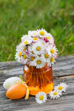 Paskalya yumurtalı Daisy çiçekleri