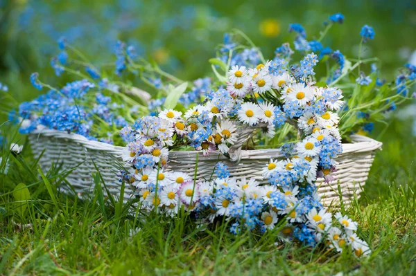 Blumenherz Mit Gartenlaterne Auf Einer Frühlingswiese — Stockfoto