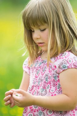 Bir bahar çayırında Gril