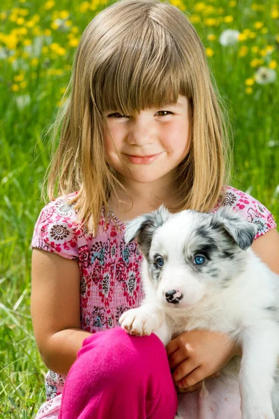 春の牧草地で子犬と女の子 — ストック写真