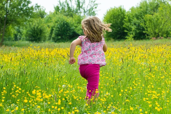 Gril Auf Einer Frühlingswiese — Stockfoto