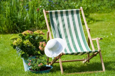 Renkli ortancaları olan cennet bahçeleri