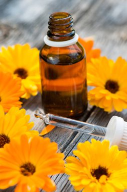 Alternatif tıp ve odun takvimi.