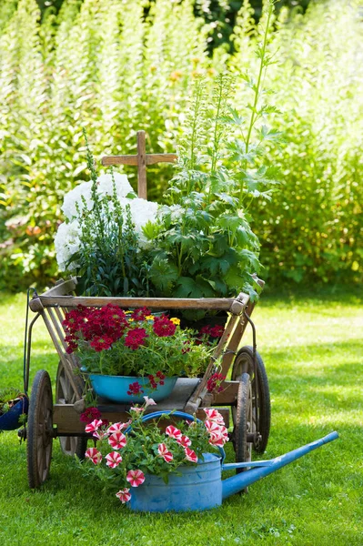 Chariot Bois Avec Fleurs Dans Jardin — Photo